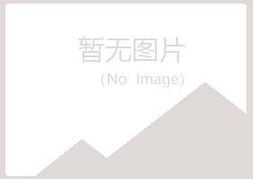 宁夏白山工程有限公司